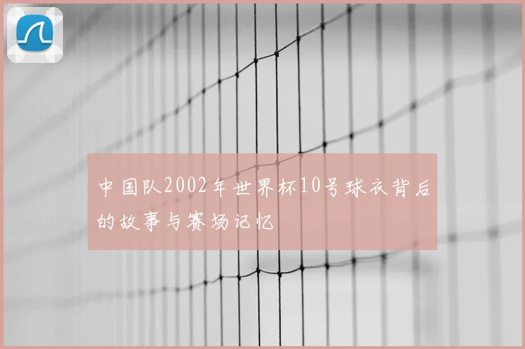 中国队2002年世界杯10号球衣背后的故事与赛场记忆