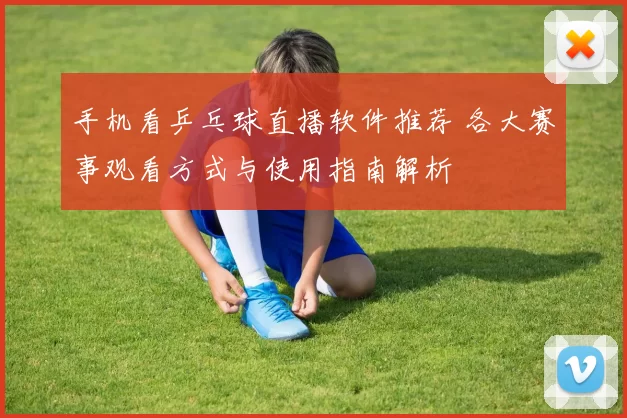 手机看乒乓球直播软件推荐 各大赛事观看方式与使用指南解析