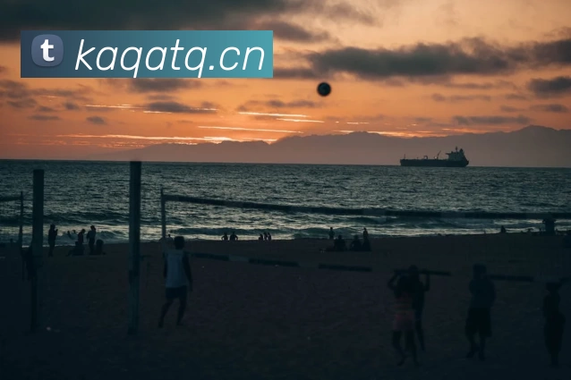 196体育下载(中国)官方在线登录平台生态图